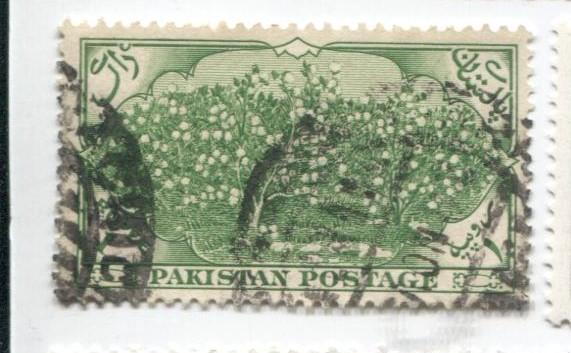 1954 Пакистан.хлопок 1м из 7.гаш