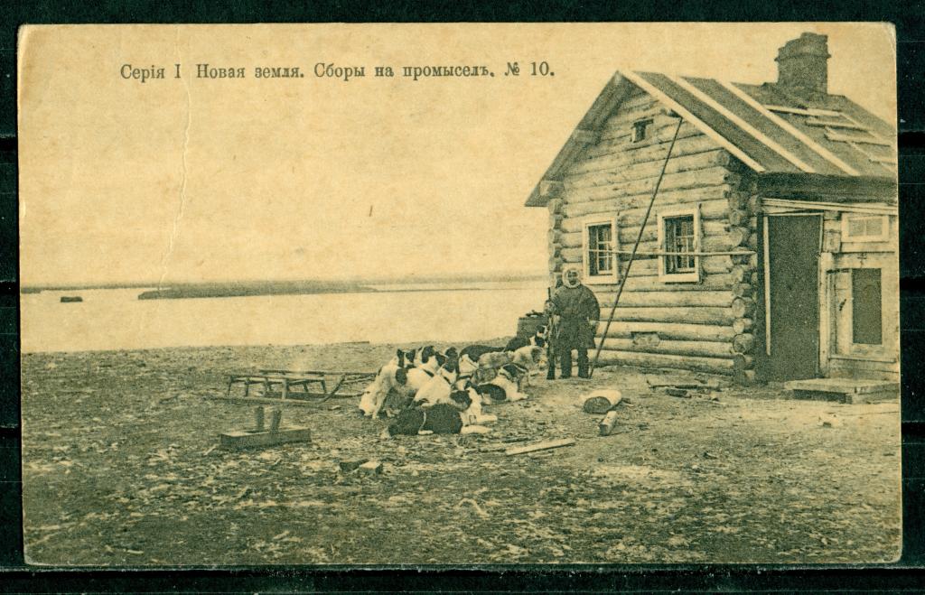 Охота.  № 10.  Новая  земля.  Сборы  на  промысел.  Собаки.  Животные.  Фауна.