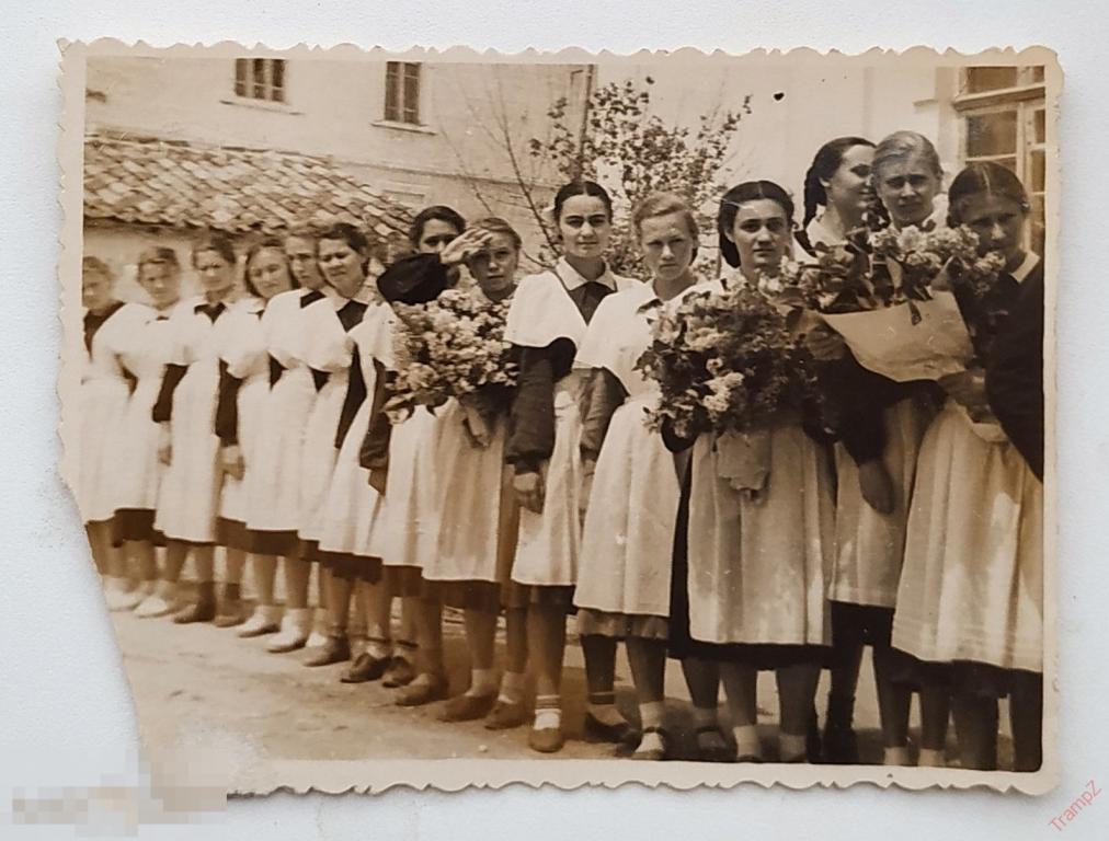 Фотография школа школьницы ученицы выпускницы девушки школьное платье форма букет #107 