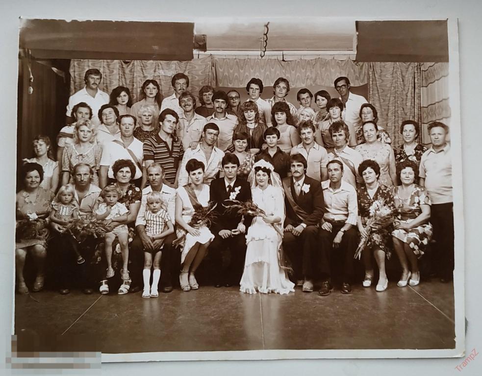 Фотография свадьба жених невеста, свадебное платье фата, молодежь мода одежда #104 
