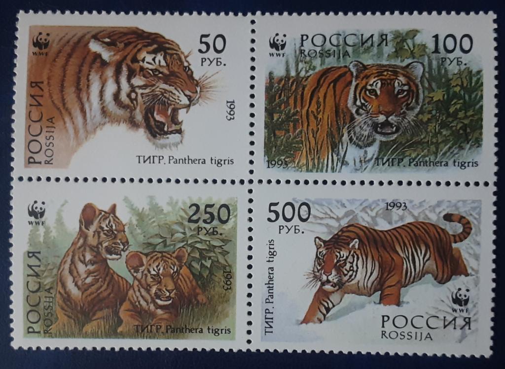 Россия 1993г Уссурийский тигр. Сцепка (124-127)**.