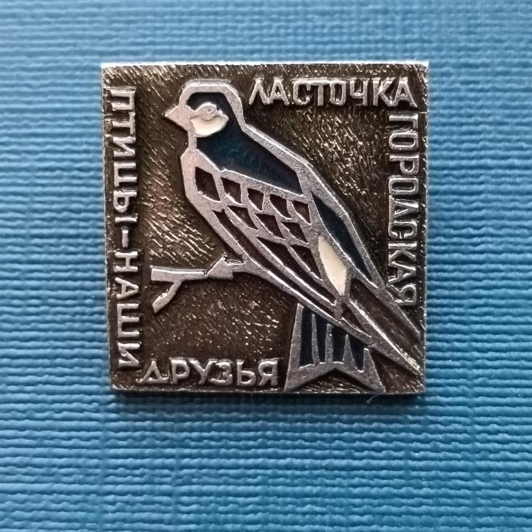 значок  Птицы наши друзья Ласточка городская  альбом 4 лист 4