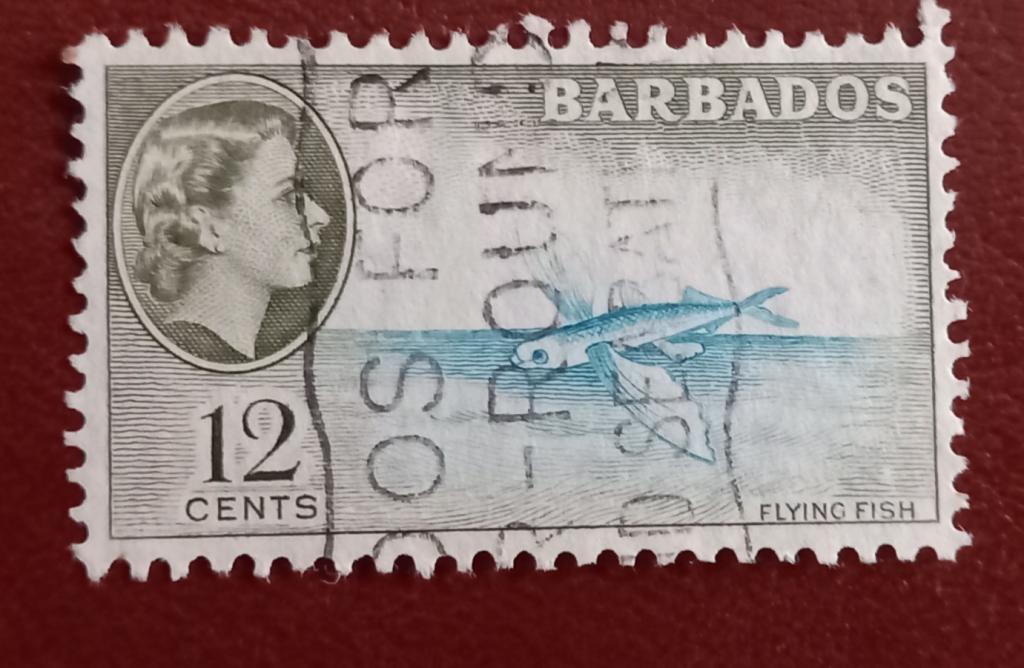Барбадос 1954 год Фауна моря Летучая рыба Елизавета II гаш
