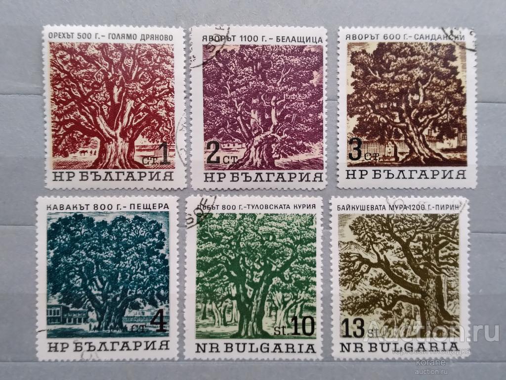 м   Болгария 1964 год   Старые деревья Болгарии.