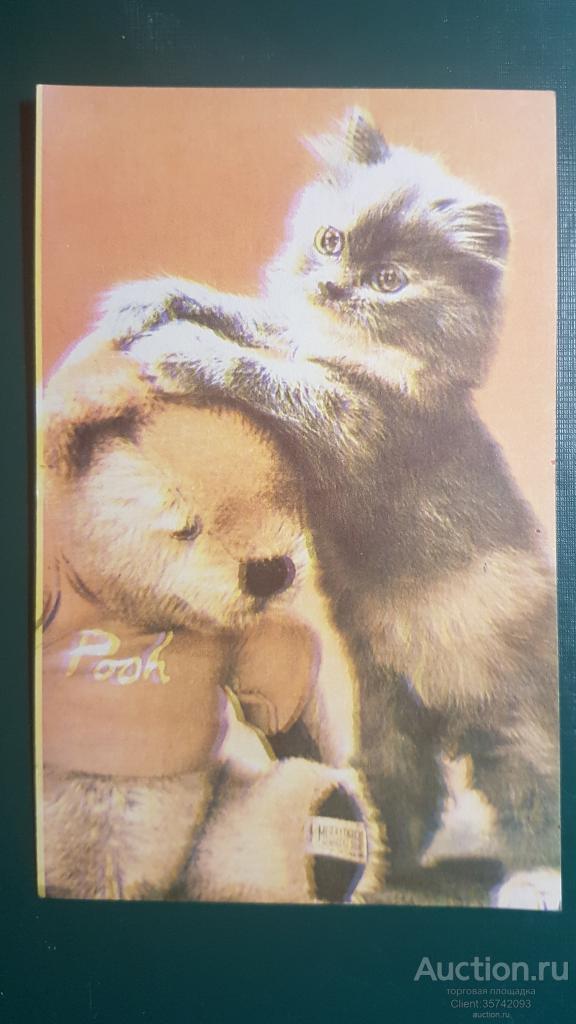 Серия"Кошки" МП "Старт" г Бендеры