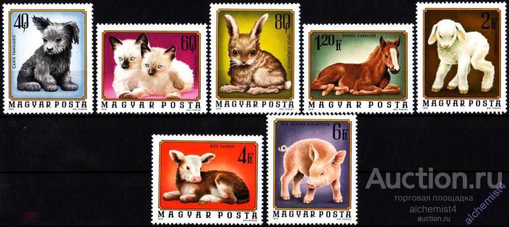 Венгрия 1974 ** собаки, кошки, лошади 