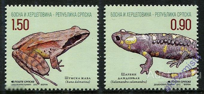 Республика Сербская Босния и Герцеговина 2013 ** Амфибии - Огненная саламандра, Лесная лягушка 