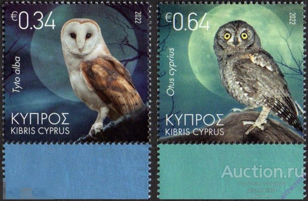 Кипр 2022 ** Совы Кипра, птицы 