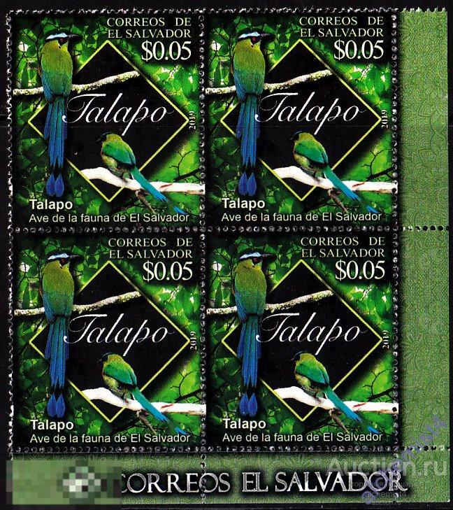 Сальвадор 2019 ** Птицы, Бурый момот 