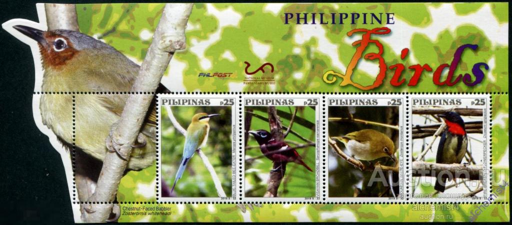 Филиппины 2019 ** птицы, Синехвостая щурка, Висаянская широкополосная птица, Огненногрудый цветоед 
