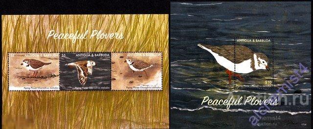 Антигуа и Барбуда 2017 ** фауна, птицы 