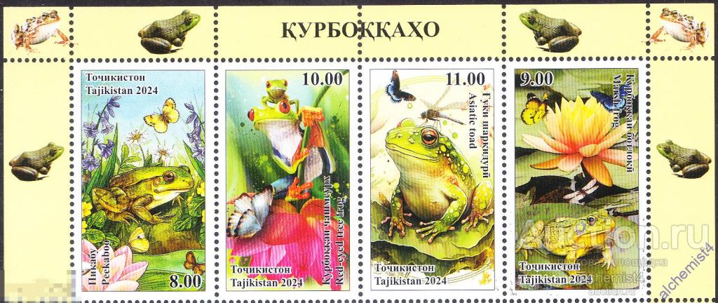 Таджикистан 2024 ** Лягушки, бабочки, стрекозы, цветы 