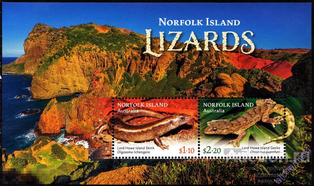 Норфолк 2021 ** Австралия, ящерицы 