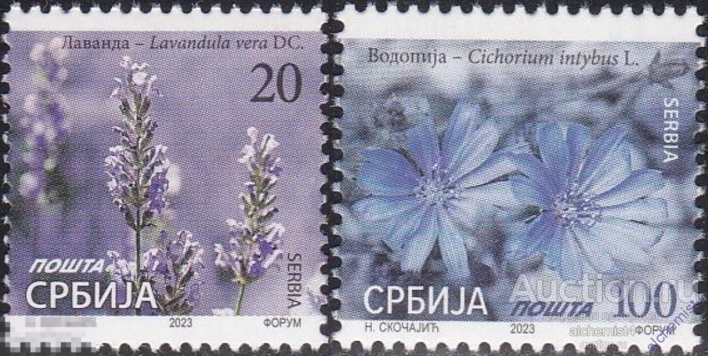 Сербия 2023 ** флора, стандарт, Лаванда узколистная, Цикорий обыкновенный 