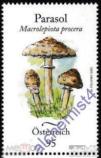 Австрия 2023 **  Эндемичные грибы Австрии 