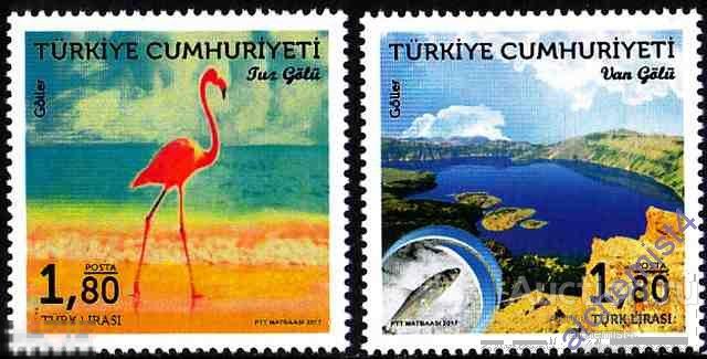 Турция 2017 ** Фауна: птицы, рыбы 