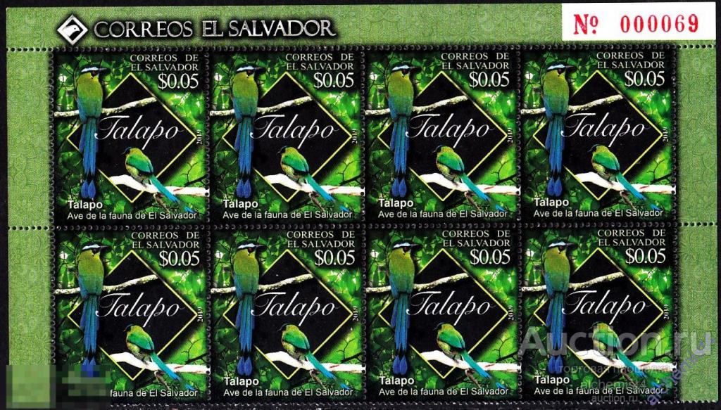 Сальвадор 2019 ** Птицы, Бурый момот 