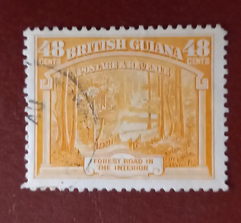 Британская Гвиана 1951 год Лесная дорога Гаш Ё