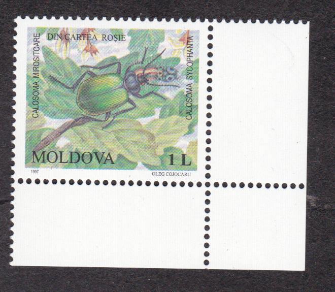 Молдова 1997 Фауна Жук (8558)
