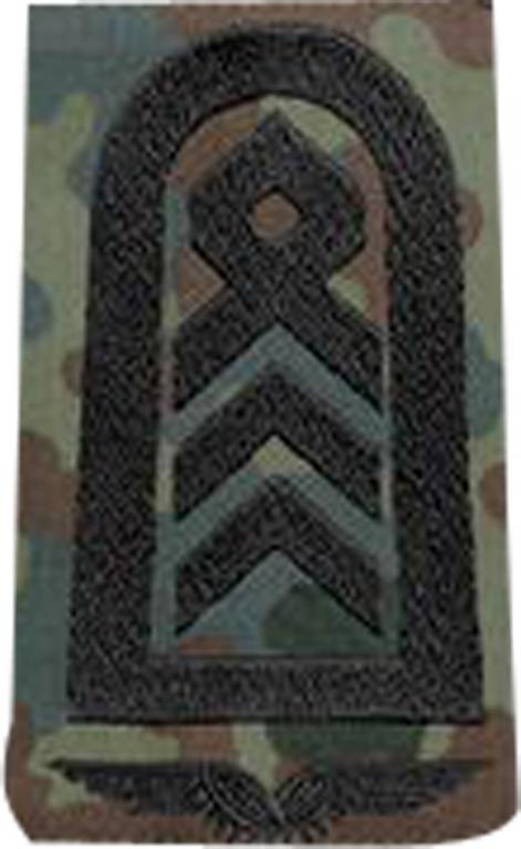 Патч BW Rank Sgt. 1st LW Fleck/Schw.