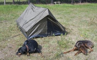 Палатка Mil-Tec Two-Man Tent Mini Pack Super Olive