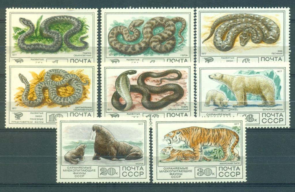 СССР 1977 г. серия Фауна СССР  негашеная** (белый медведь-небольшая потертость на клее)