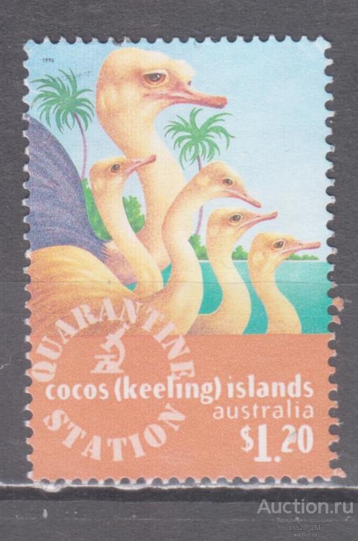 Кокосовые о-ва 1996 страусы Mi349 MNH