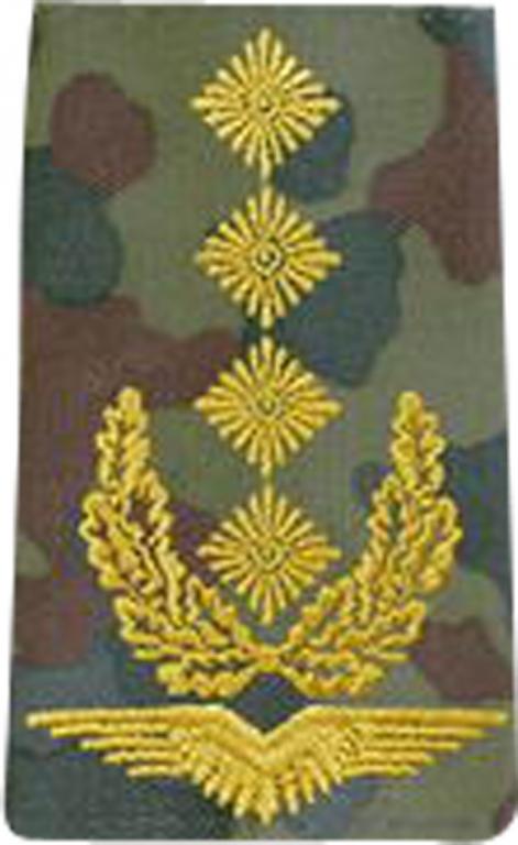 Патч BW Rangschl. General Air Force Camo/Gold