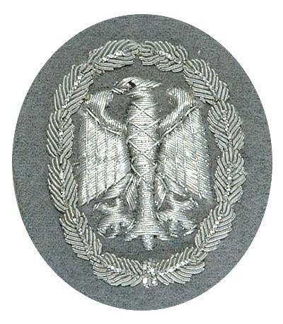 Значок BW Achievement Badge Hand Embroidered Silver