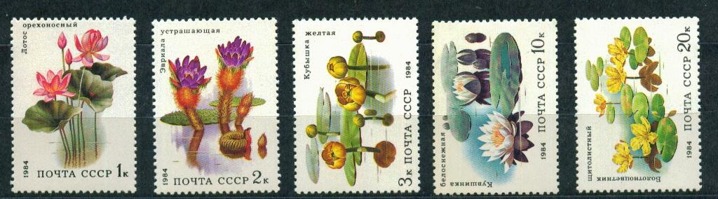 1984 5501-5505 Водные растения флора **