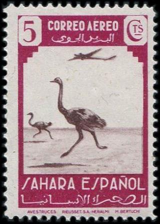 Испанские колонии САХАРА 1943 авиапочта ** MNH 5 с. страус самолет