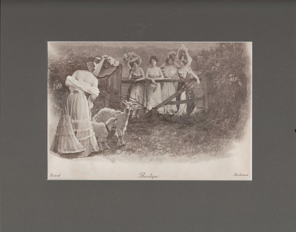 Литография Пастушка дама коза НЮ шляпа мода франц. англ. нем. Франция 1890