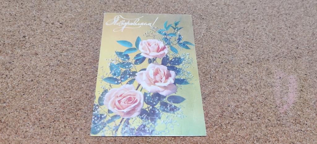 Открытка фото Дергилева Поздравляем! флора цветы розы 1991 год, подписана