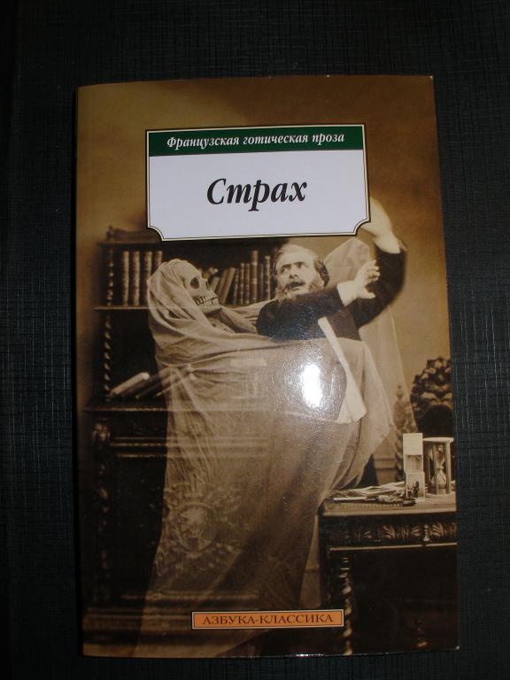 Французский готический роман. 2010 г.