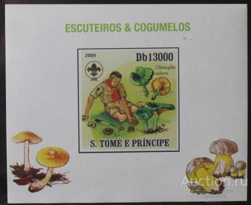 Сан Томе и Принсипи 2009 лБл бз MNH