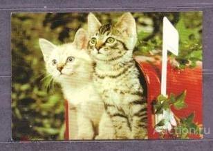 календарик  2003  год         кошка      №  7858
