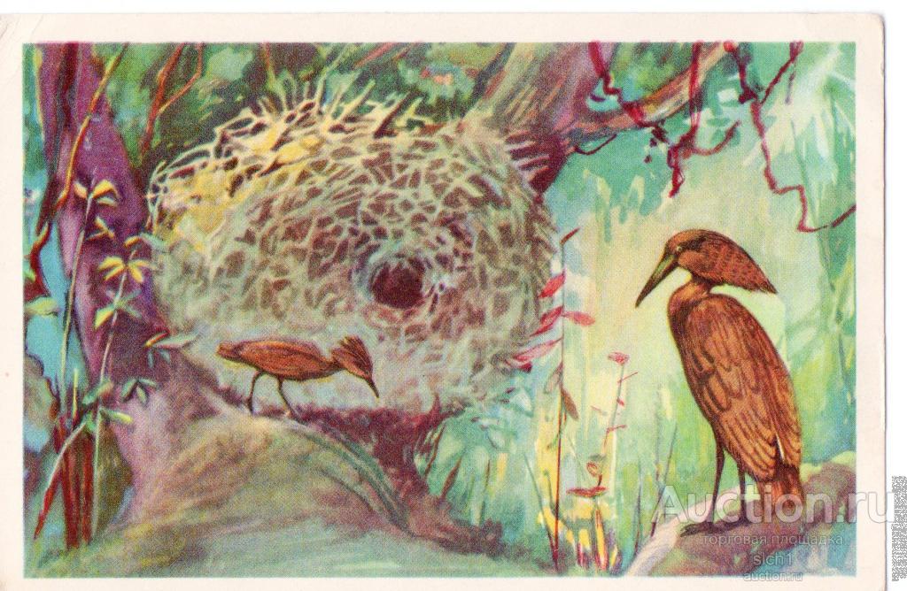 Открытка 1968 СХ Молотоглав