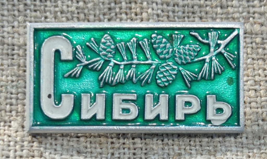 Сибирь, кедр - шишки, зеленый, СССР.