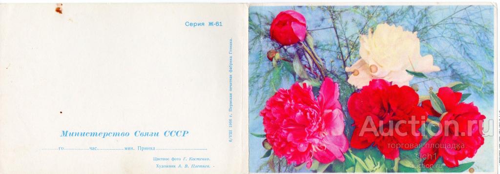 Открытки  1966 С ДНЕМ РОЖДЕНИЯ  гвоздики  чистая