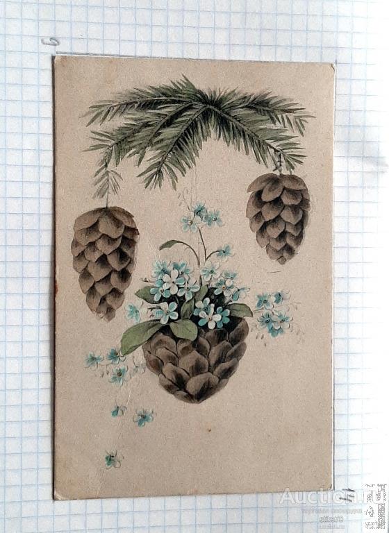 Милая новогодняя. Еловые шишки на ветке. Незабудки. Филателия. См.