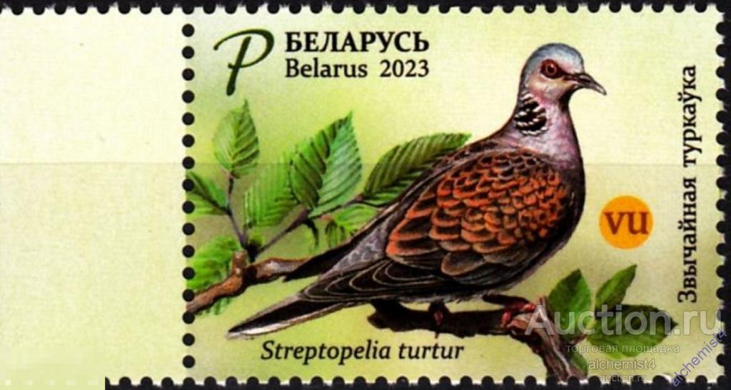 Беларусь 2023 ** Птицы, Обыкновенная горлица 