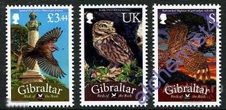 Гибралтар 2012 ** птицы, совы, стандарт 