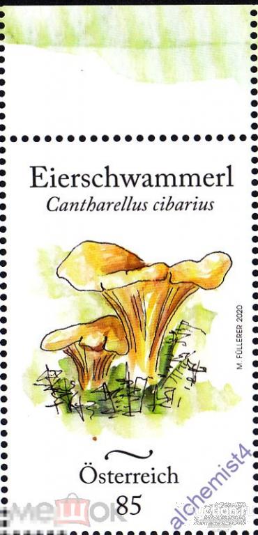 Австрия 2020 ** Лисичка обыкновенная, грибы 