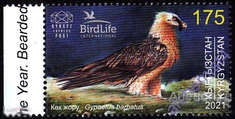 Киргизия Кыргызстан (KEP) 2021 ** Птица года (III). Бородач 