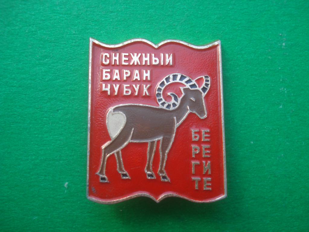 Снежный баран Чубук. Берегите.  Красная книга.