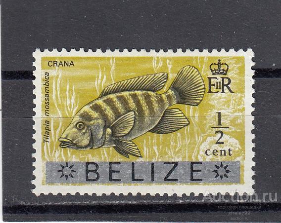 BELIZE  БЕЛИЗ  Фауна Рыбы  № 297  1973  Сост** MNH