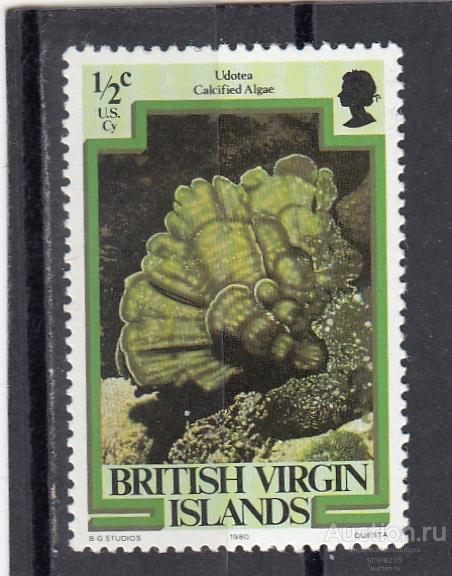 BRITISH  VIRGIN  ВИРГИНЫ   Кораллы  № 366 1979  Сост** MNH