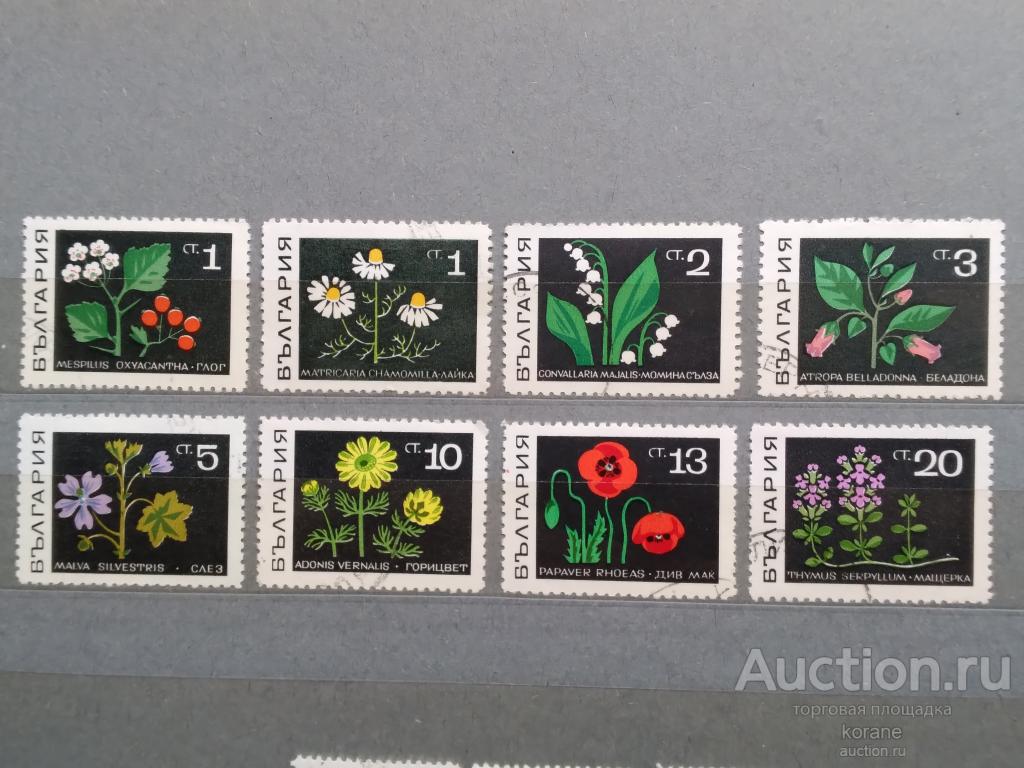 м   Болгария 1969 год   флора цветы