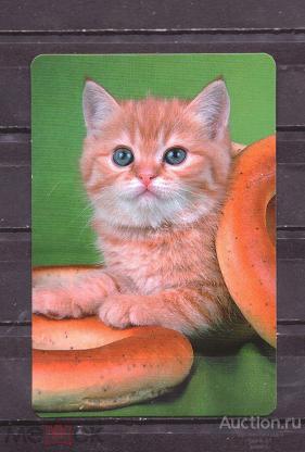 календарик  2004  год    кошка    №  5601