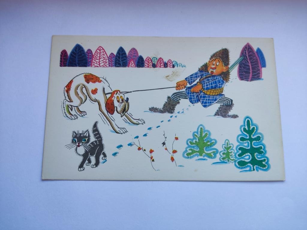 Открытка Суеверная собака. Чистая. Серия "Охота и рыбалка"